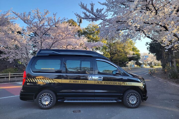 Half or Day Tour For Cruise customers arriving at Jeju City Port