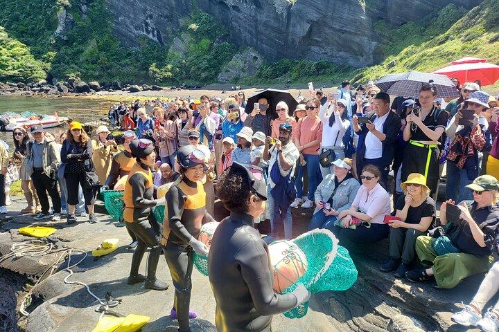 Half or Day Tour For Cruise customers arriving at Jeju City Port