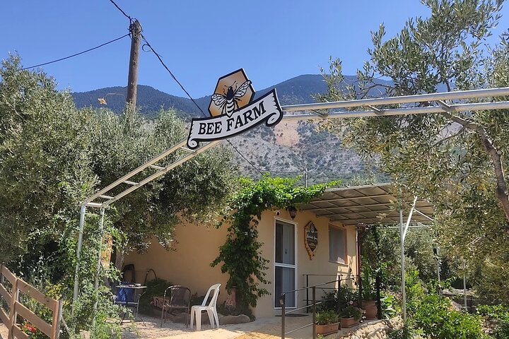 Kefalonia: Private Olive Oil, Honey & Wine Tasting Experience