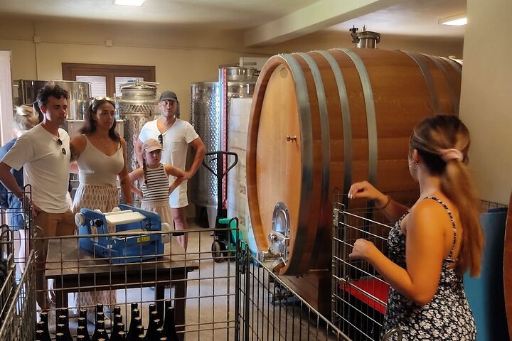 Kefalonia: Private Olive Oil, Honey & Wine Tasting Experience