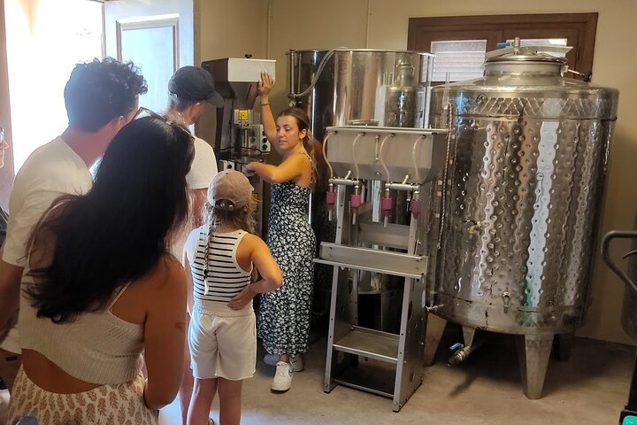 Kefalonia: Private Olive Oil, Honey & Wine Tasting Experience