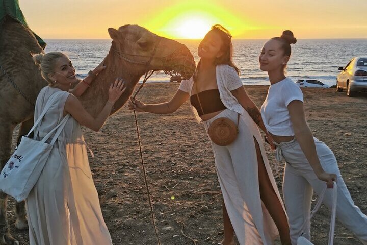 Luxury Private Tour of Tangier from Marbella All Inclusive