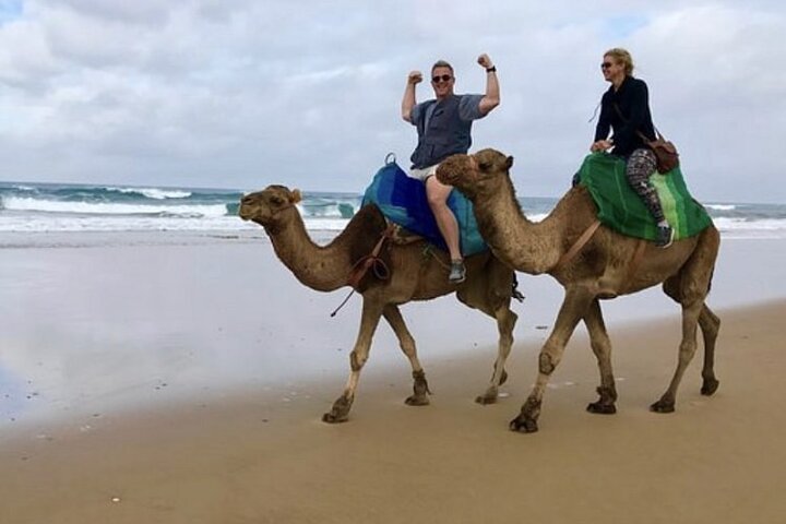 Luxury Private Tour of Tangier from Marbella All Inclusive