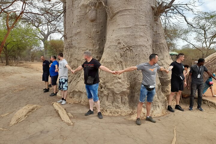 Sensafari Yo private driver tour guide in Senegal- Bandia reserve