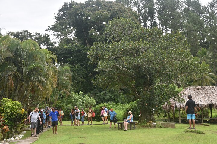 Jewel Of Fiji incl Fijian Village, waterfall & Lunch(Nadi Hotels)