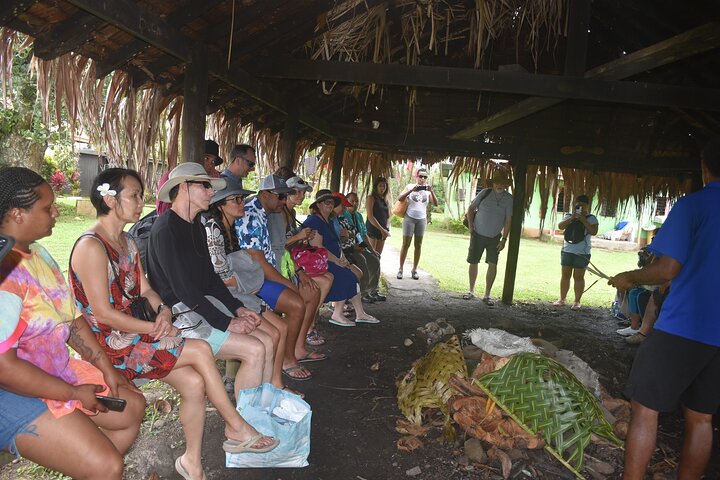 Jewel Of Fiji incl Fijian Village, waterfall & Lunch(Nadi Hotels)