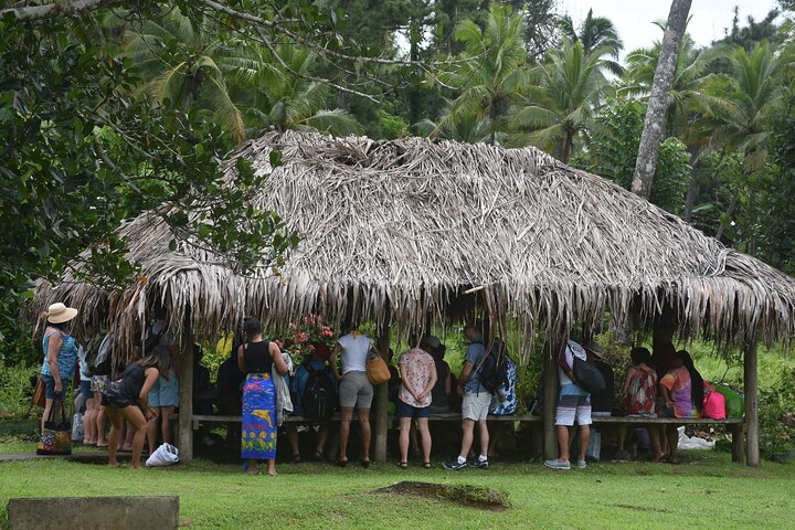Jewel Of Fiji incl Fijian Village, waterfall & Lunch(Nadi Hotels)