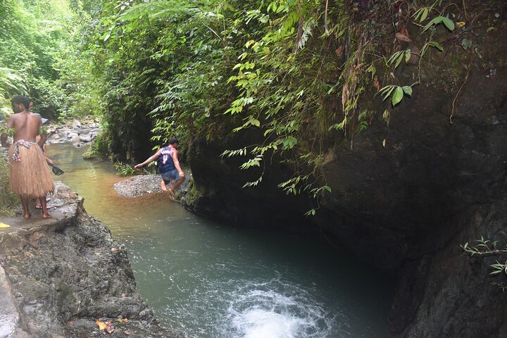 Jewel Of Fiji incl Fijian Village, waterfall & Lunch(Nadi Hotels)