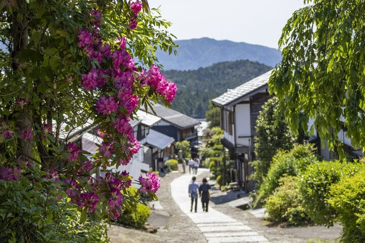 Hiking the Historic Nakasendo Trail [1 Day Tour from Nagoya]