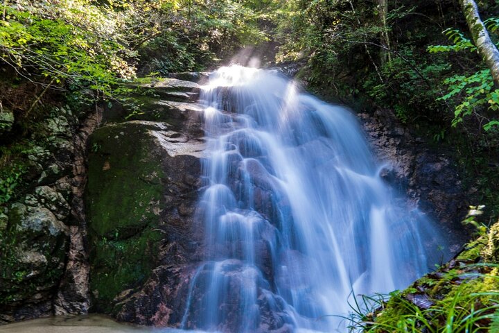 Hiking the Historic Nakasendo Trail [1 Day Tour from Nagoya]