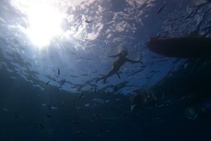Kayaking + snorkeling with turtles