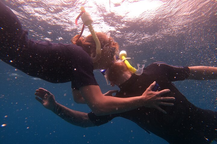 Kayaking + snorkeling with turtles