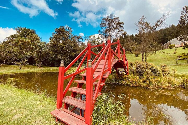 Eco-Park Recinto del Pensamiento Tour