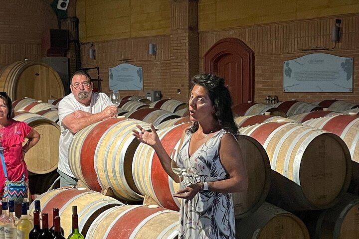 Post Cruise Tour Valparaiso and Winery drop off Airport or Hotel
