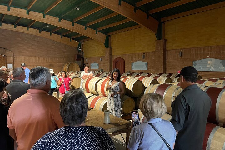 Post Cruise Tour Valparaiso and Winery drop off Airport or Hotel