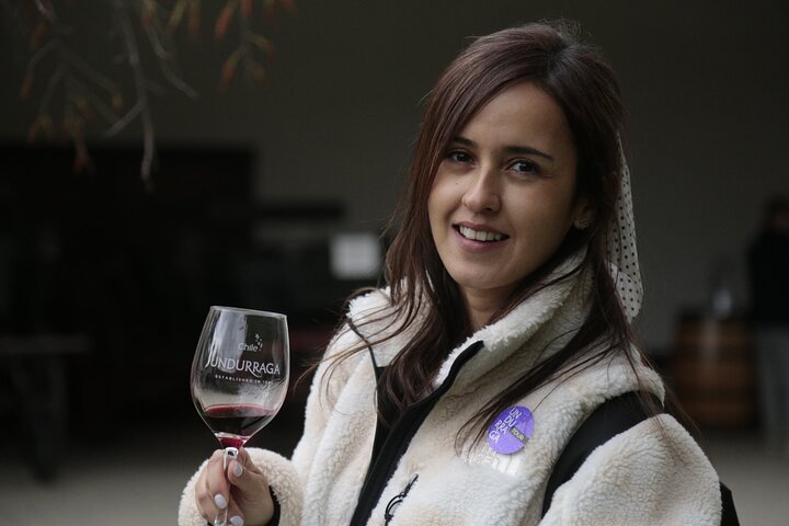 Post Cruise Tour Valparaiso and Winery drop off Airport or Hotel