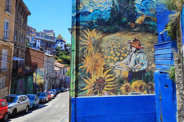 Post Cruise Tour Valparaiso and Winery drop off Airport or Hotel