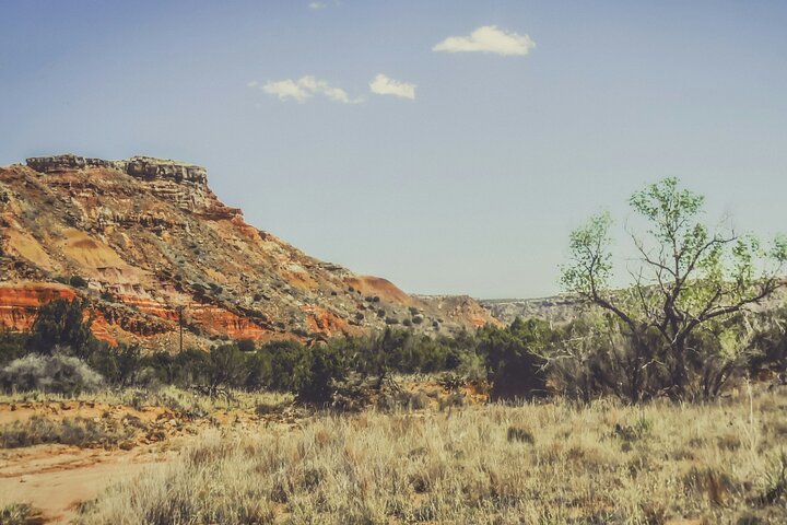An Exciting Scavenger Hunt: Amarillo Art & Elms
