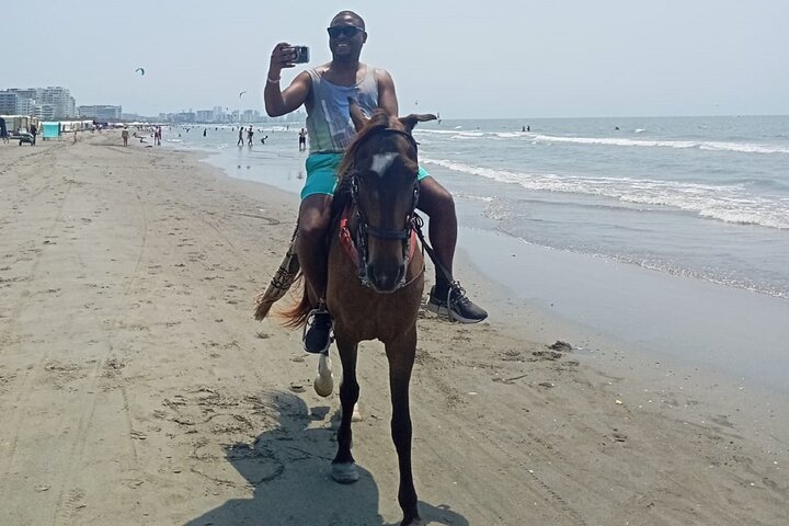 Horseback riding on the beaches of Cartagena