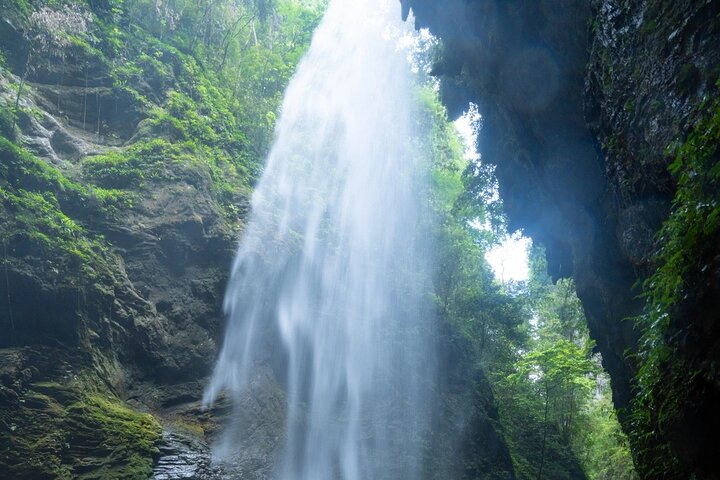 Wulong Private Tour All Inclusive: Premium Vehicle & local Lunch