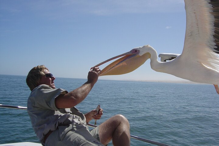 Marine Dune Day: Catamaran Cruise and Sandwich Harbor Dune Drive