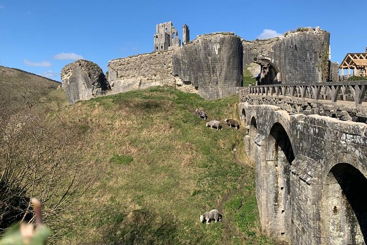 E-Bike Excursions from Swanage, Dorset