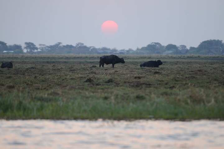 Full Day Tour to Chobe National Park and Botswana