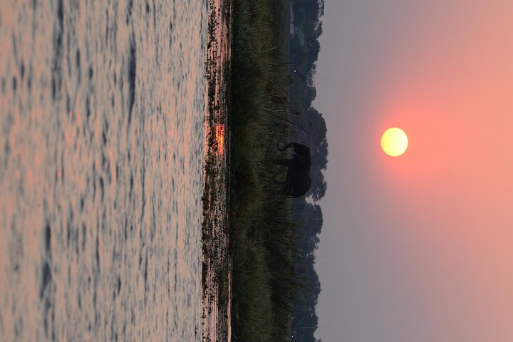 Full Day Tour to Chobe National Park and Botswana