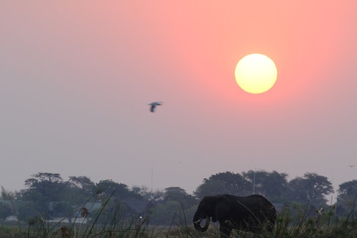 Full Day Tour to Chobe National Park and Botswana