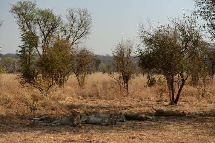 Full Day Tour to Chobe National Park and Botswana