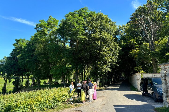 Reims or Epernay: Full day Champagne Mumm, family grower & lunch