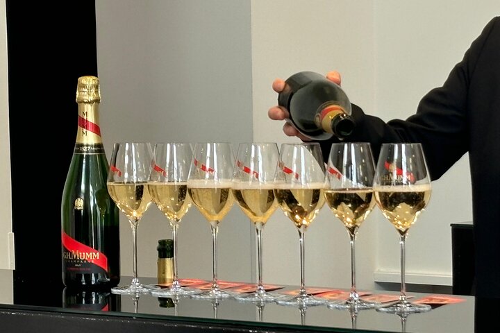 Reims or Epernay: Full day Champagne Mumm, family grower & lunch