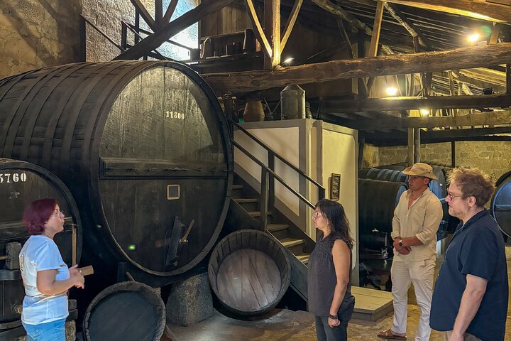 Best of the Douro in a Day: Boat, Wine and Family Lunch