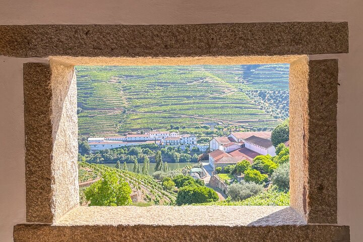 Best of the Douro in a Day: Boat, Wine and Family Lunch