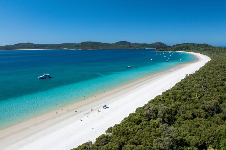 Purely Whitehaven: Full day tour to Whitehaven Beach