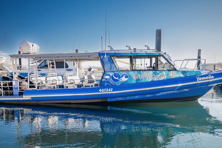 Outer Reef Scuba Diving Day Tour from Agnes Water 1770