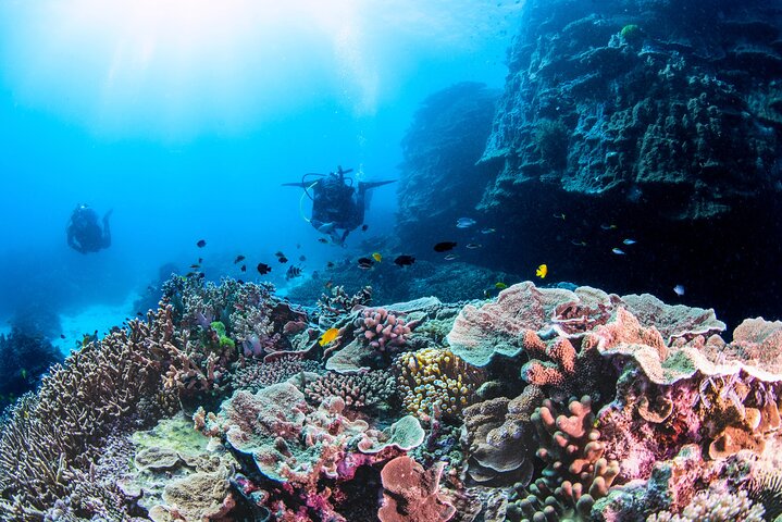 Outer Reef Scuba Diving Day Tour from Agnes Water 1770