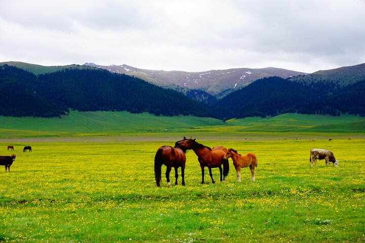 Private tour from Almaty 6 days in Kazakhstan and Kyrgyzstan
