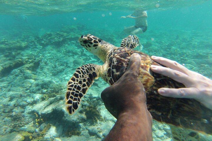 Glass Bottom Nylon Pool Tour in Buccoo Reef