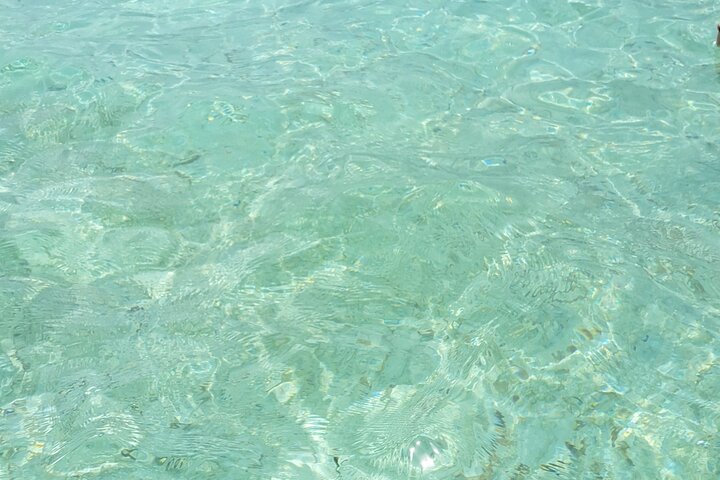 Glass Bottom Nylon Pool Tour in Buccoo Reef