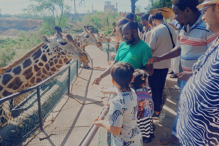 Mombasa City Tour