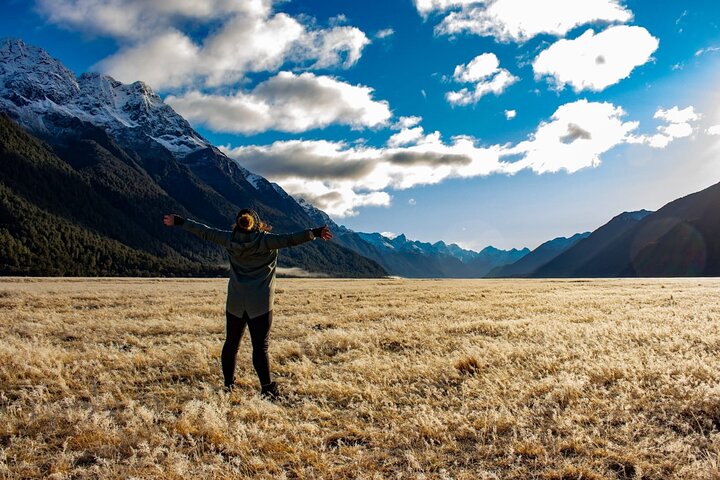 Premium Milford Sound Small Group Tour & Cruise from Queenstown