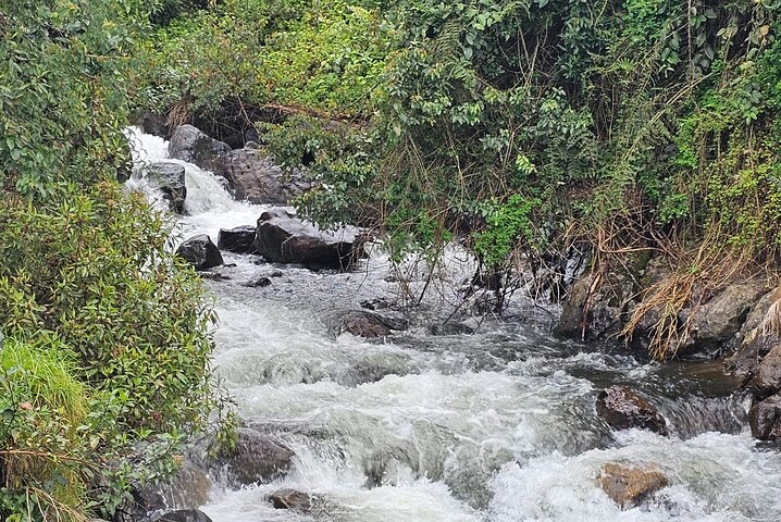 Papallacta Hot Springs: Relax in Ecuador’s Andes Mountain Range