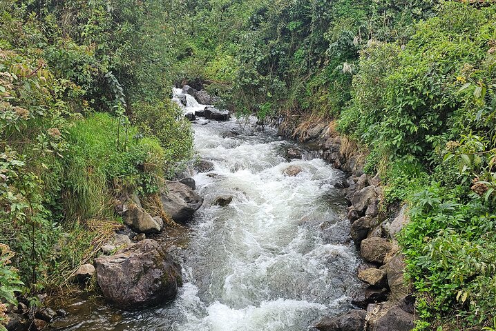 Papallacta Hot Springs: Relax in Ecuador’s Andes Mountain Range