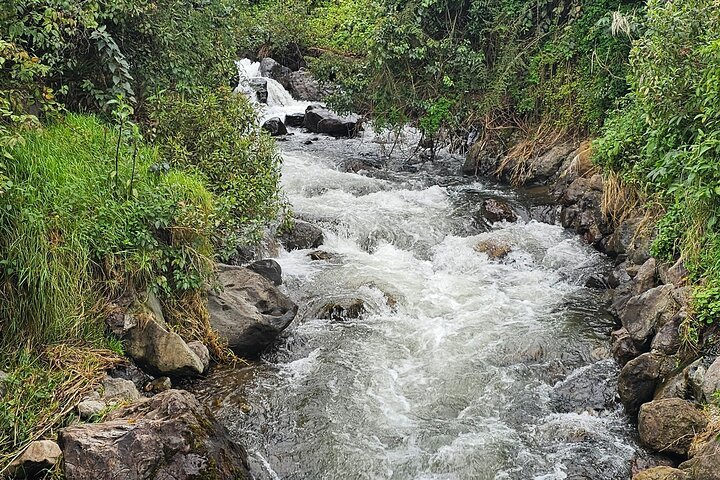 Papallacta Hot Springs: Relax in Ecuador’s Andes Mountain Range