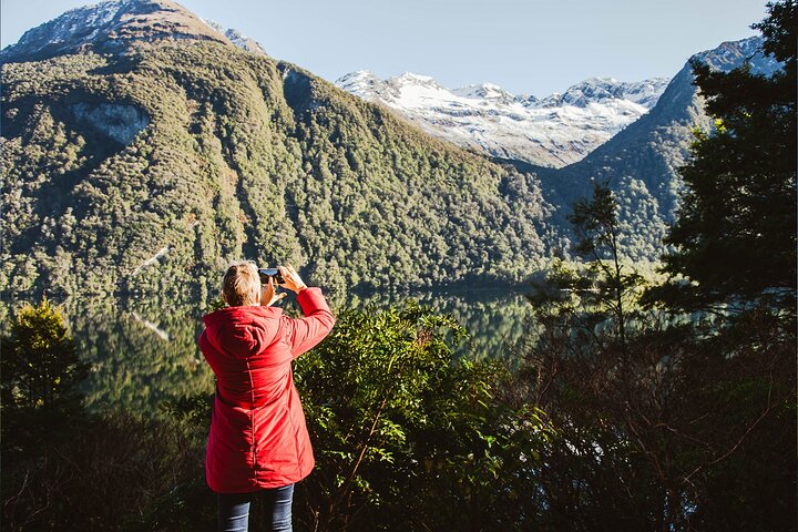 Milford Sound Premium Small Group Tour & Cruise from Queenstown