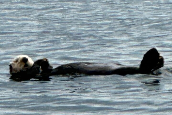Small Group Boat Tour of Sitka