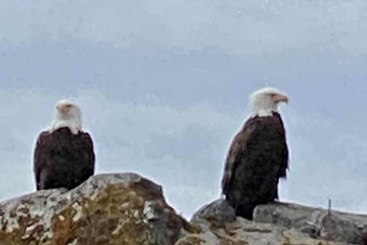 Small Group Boat Tour of Sitka