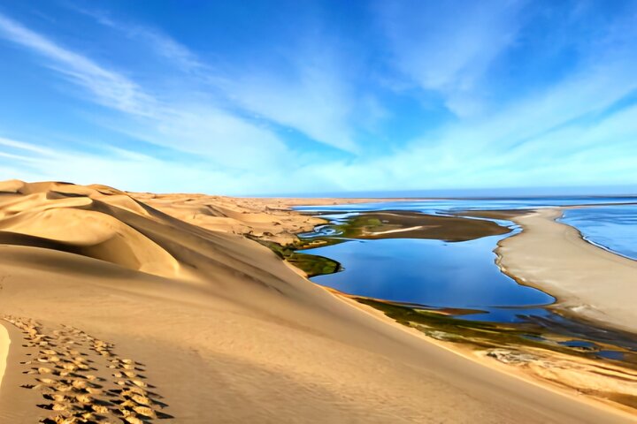 Sandwich Harbour 4x4 guided tours(Includes Cruise ship pick up)