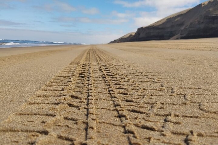 Sandwich Harbour 4x4 guided tours(Includes Cruise ship pick up)